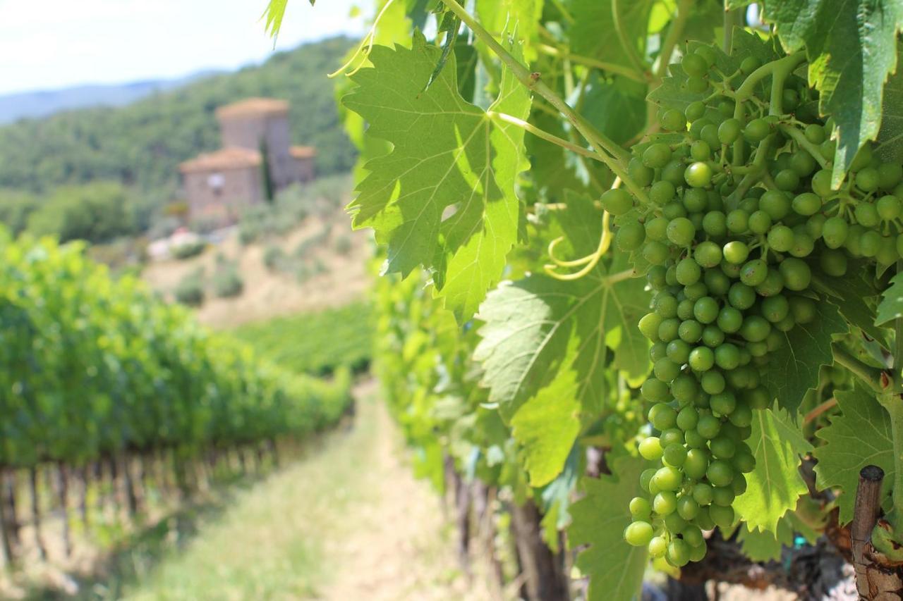 Marangole 12, Emma Villas Radda in Chianti Exterior photo
